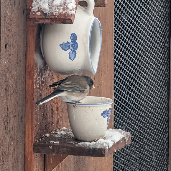 Rustic Wooden Handcrafted Bird Feeder Party Of 4 - Picture 12 of 16
